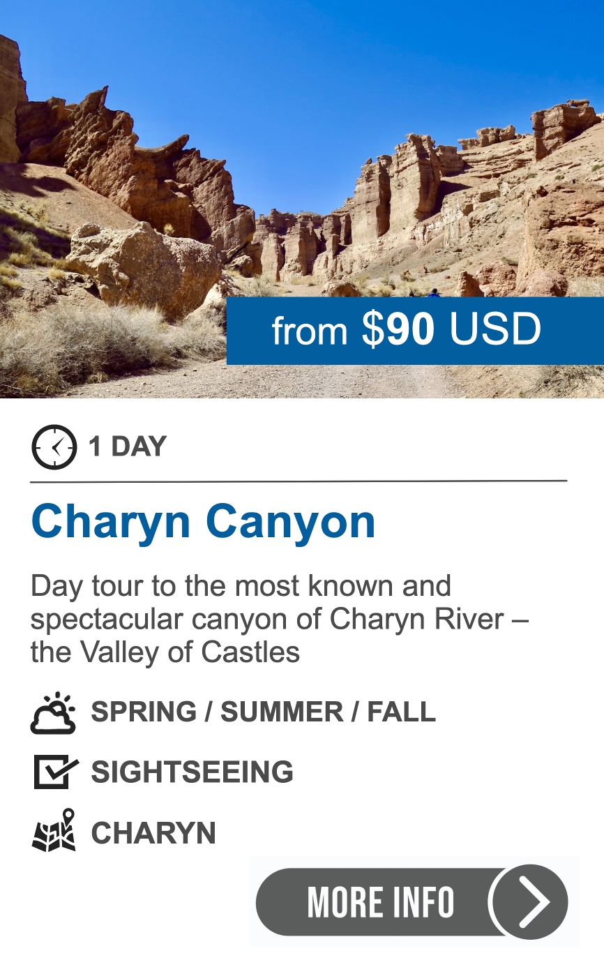 Day tour to Charyn Canyon – Valley of Castles Private 1-day tour to Charyn Canyon (Valley of Castles), Kazakhstan